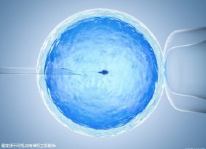 关于景泰生殖